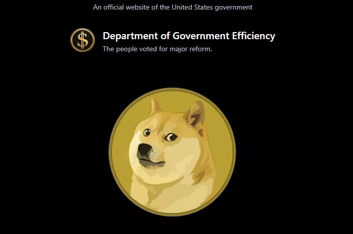 DOGE-Department-of-Government-Efficiency-Google-Chrome.webp