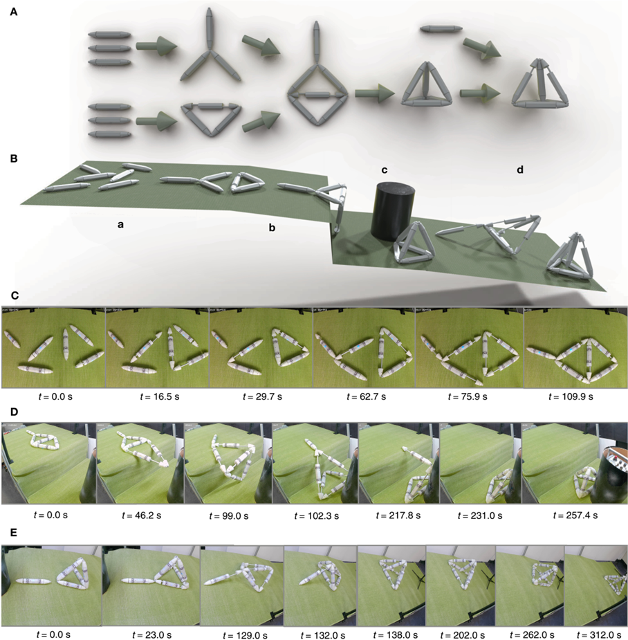 bkvzcoaqasgc0u829u8e42zds3rmtxhk.png bkvzcoaqasgc0u829u8e42zds3rmtxhk.png
