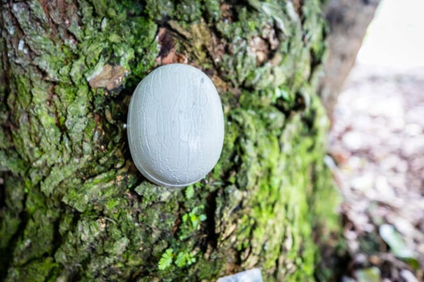 content-img(824).png content-img(824).png