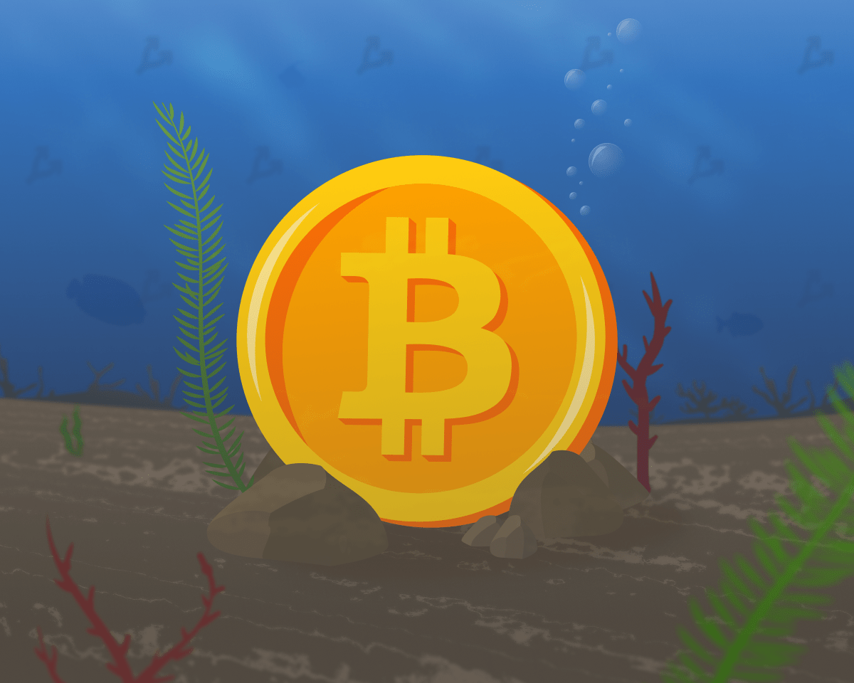 BTC_Down-min.png BTC_Down-min.png