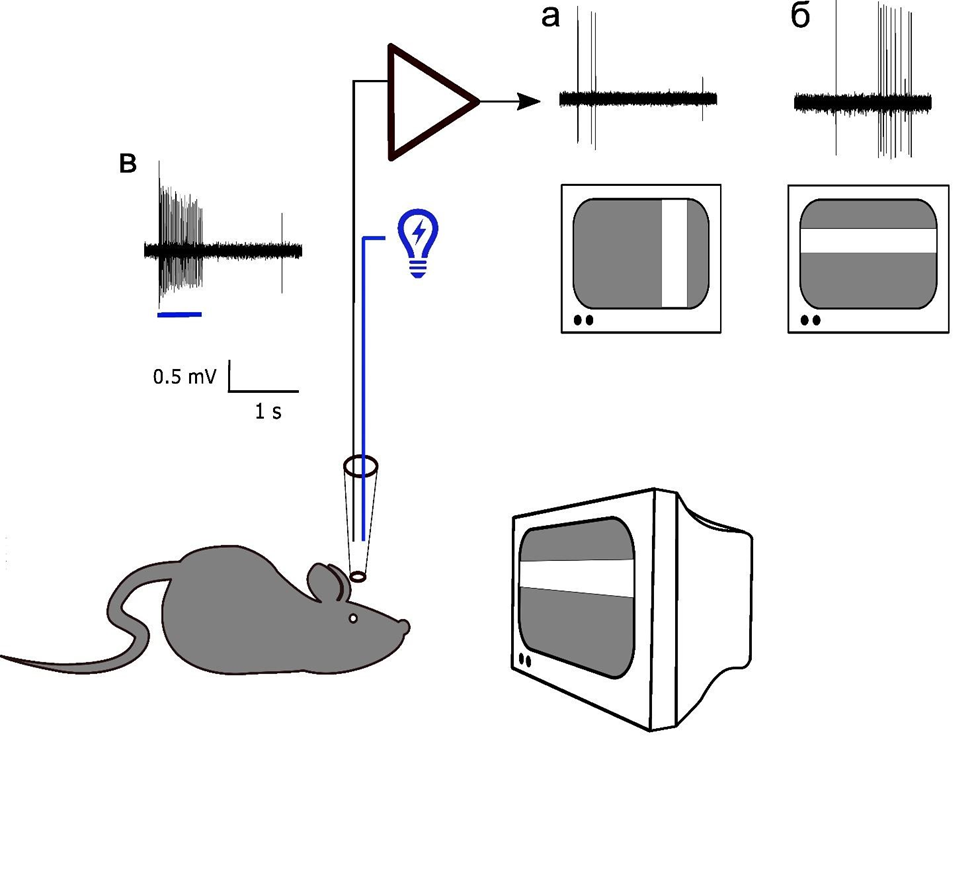 na2tsdlqxh974shew73cfvl9lr8i1oce.png na2tsdlqxh974shew73cfvl9lr8i1oce.png