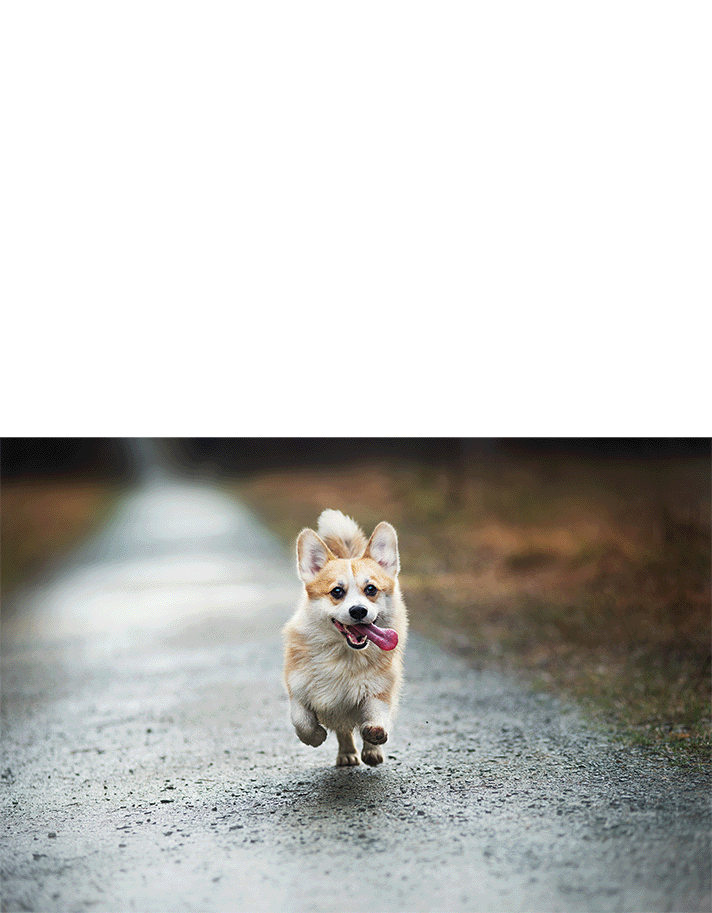 media_1e567fb5fa003af0f56a7ededcfde826f137492af.gif media_1e567fb5fa003af0f56a7ededcfde826f137492af.gif