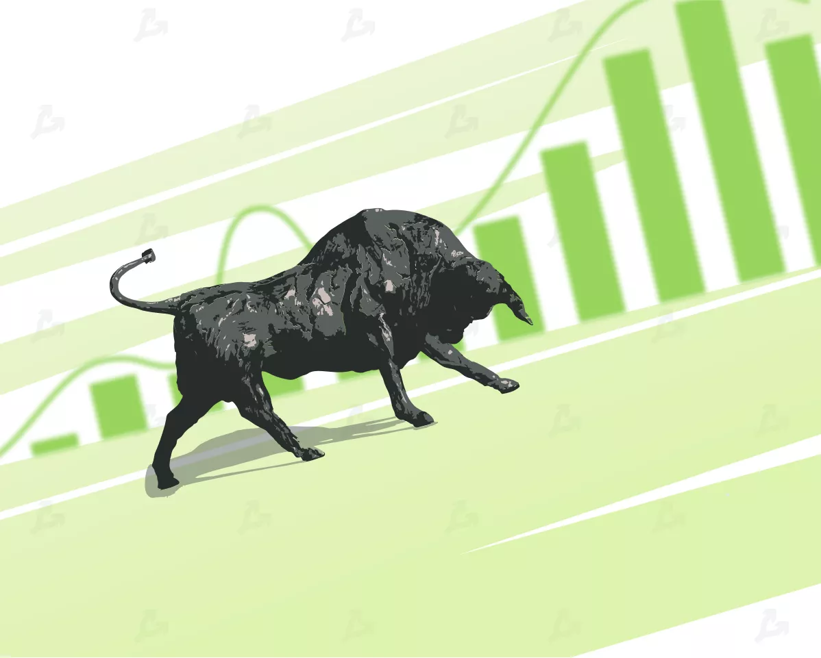 bull.webp