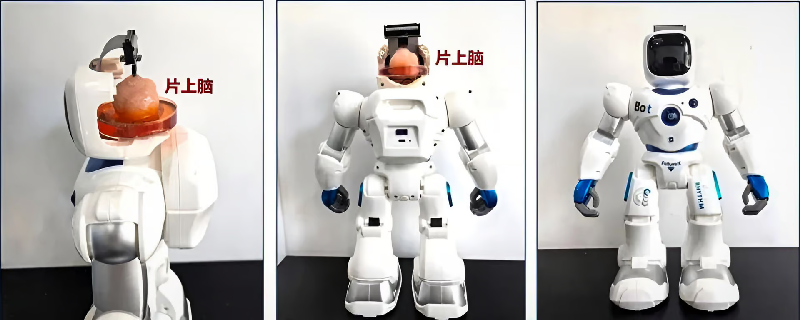 mhhvzu9zq4qltvvc1vxm0sjekzsbvgkd.png mhhvzu9zq4qltvvc1vxm0sjekzsbvgkd.png